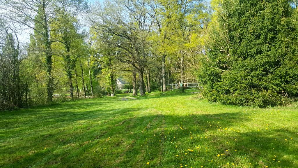 Camping De La Reuille Flere-la-Riviere Eksteriør billede